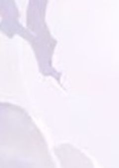 この物語だけは主役ではなく主人公で。