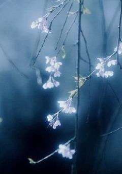 【 参加型 】いちばんぼし【 短編集 】