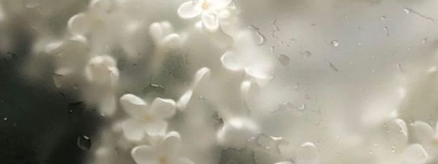 rさんの壁紙画像