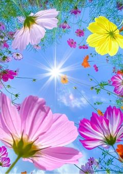 片想いの行方。