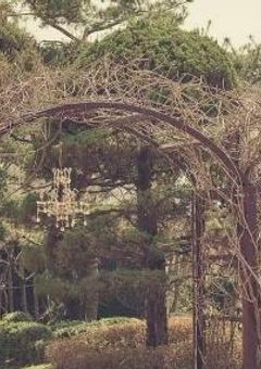 マネ姫と7人の大男。