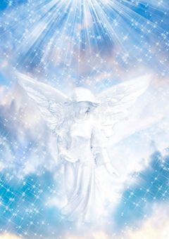 天使の贈り物。