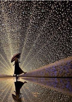 気になるスーパーLady。