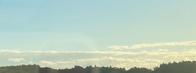 Mojuさんの壁紙画像