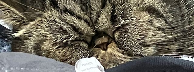 あーちゃんですさんの壁紙画像