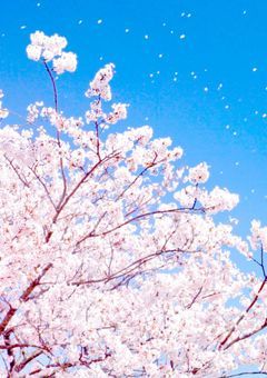 四男と図書委員長の初恋物語𓂃𓈒𓂂𓏸