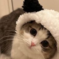 しゃけさんのアイコン画像