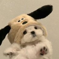 珠零💙 さんのアイコン画像