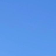 わらびもちパイセンさんのアイコン画像