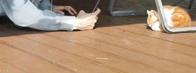 료 네비 さんの壁紙画像