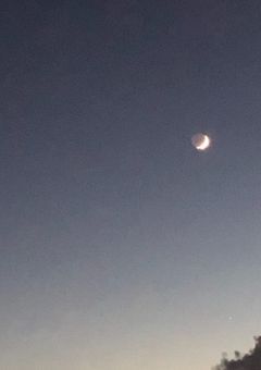 119
