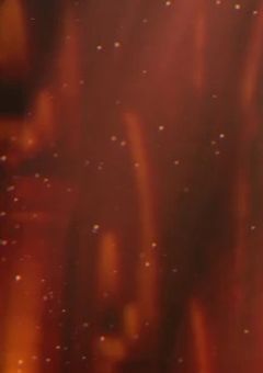 怪異たちに気に入られてます…