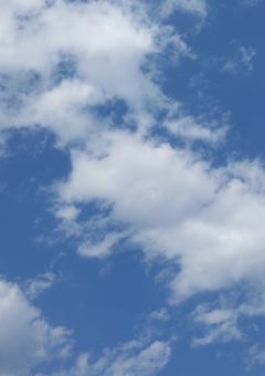 ほのぼの？友達