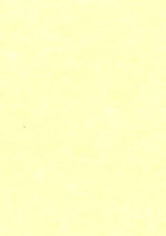 黄色王子の双子の妹