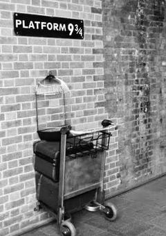 魔法学校の劣等生  .