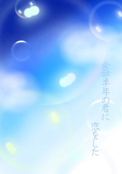 余命半年の君に恋をした