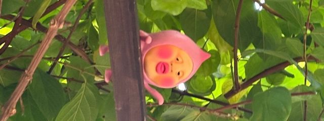.*.꒰ঌ あぅ ໒꒱.*さんの壁紙画像