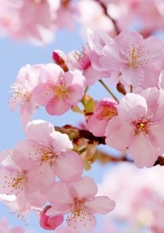 〜Dangerous Love〜