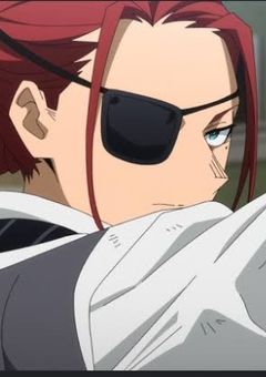 雄英高校には令嬢とその従者がいるようで