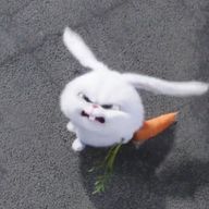 トマトマトさんのアイコン画像