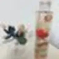 seventeen17さんのアイコン画像