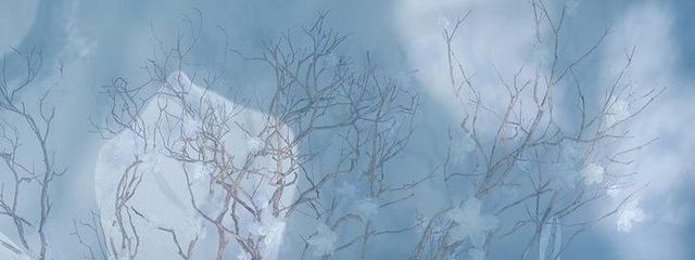 ハクさんの壁紙画像
