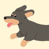 優來(ゆら)さんのアイコン画像