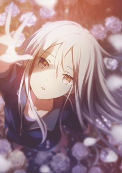 僕  の  彼女は  ツンデレです  