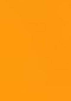 pn🍤右固定イラスト