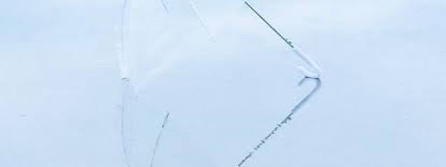  な ち 。さんの壁紙画像