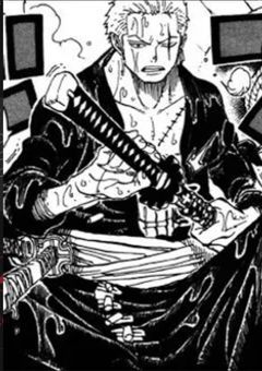 迷子剣士は海軍のあの子に惚れたらしい