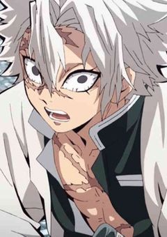 鬼に愛され体質の少女、風柱に恋をしたようで