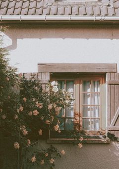 シナモン・シュガー・アールグレイ