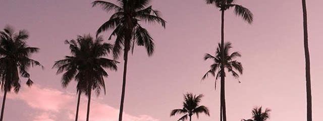 Haru_♡"さんの壁紙画像