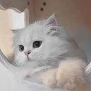 (なまえ)