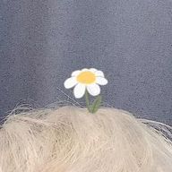 まめ☆さんのアイコン画像