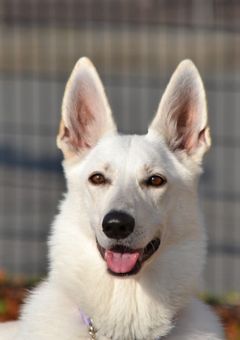 お話しましょう‼️