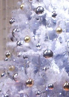 Advent Calendar 2021