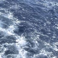 p.さんのアイコン画像