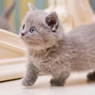 花琳さんのアイコン画像