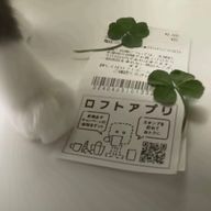 ㅎ ㄴさんのアイコン画像