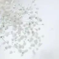 あさんのアイコン画像