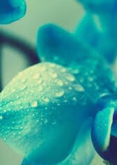 青と緑混ざり合って何色になろう　　rd✖️pk