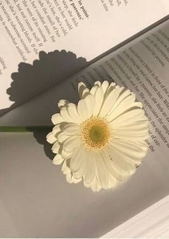 みぃちゃんとの雑談専門部屋！！