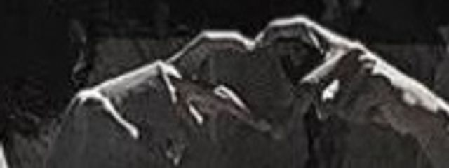 ぼくかわいいさんの壁紙画像