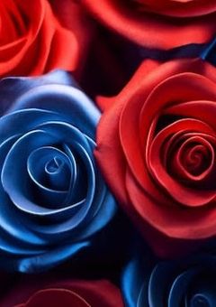 気が向いたら書くBL（セラ凪）