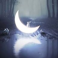 LUNAさんのアイコン画像