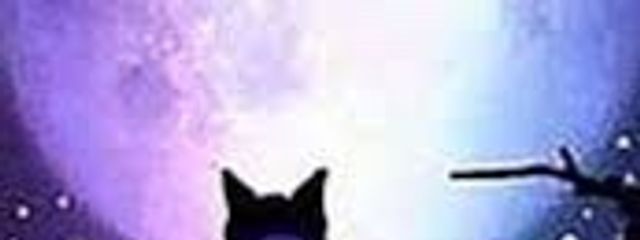 アイス🧊🐈‍⬛🎶さんの壁紙画像