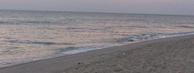 きむさんの壁紙画像