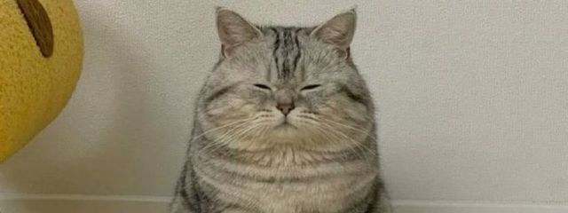 一ノ瀬　蓮さんの壁紙画像